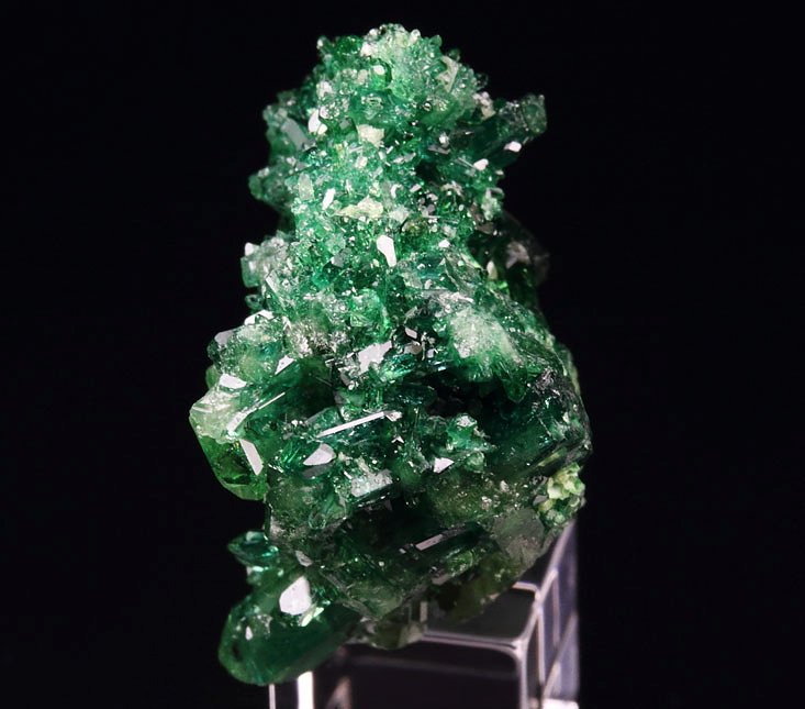 gem VESUVIANITE var. CHROMIAN