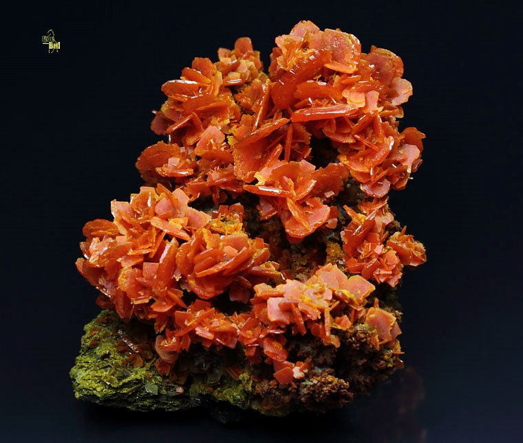 new find - WULFENITE