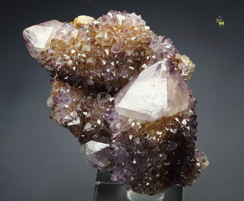 cactus QUARTZ var. AMETHYST