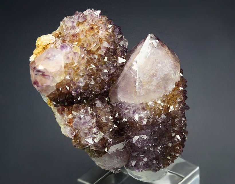 cactus QUARTZ var. AMETHYST