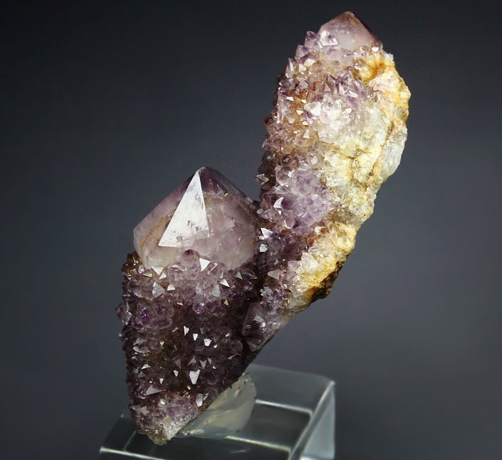 cactus QUARTZ var. AMETHYST