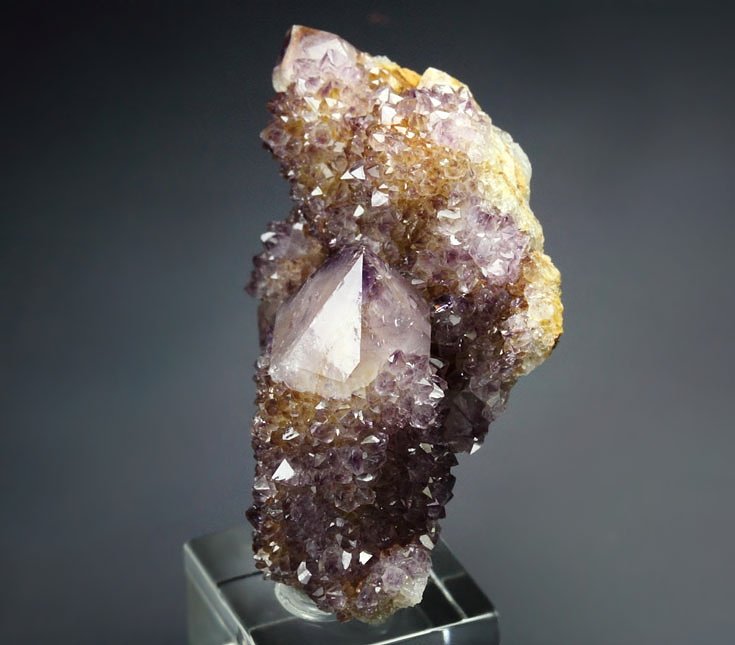 cactus QUARTZ var. AMETHYST