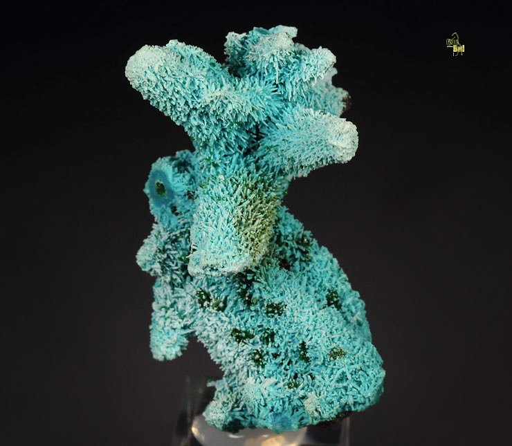 new find - AJOITE pseudomorph after AZURITE, after MALACHITE