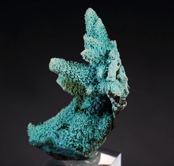 new find - AJOITE pseudomorph after AZURITE, after MALACHITE