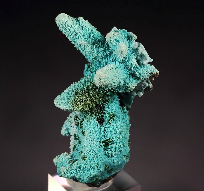 new find - AJOITE pseudomorph after AZURITE, after MALACHITE