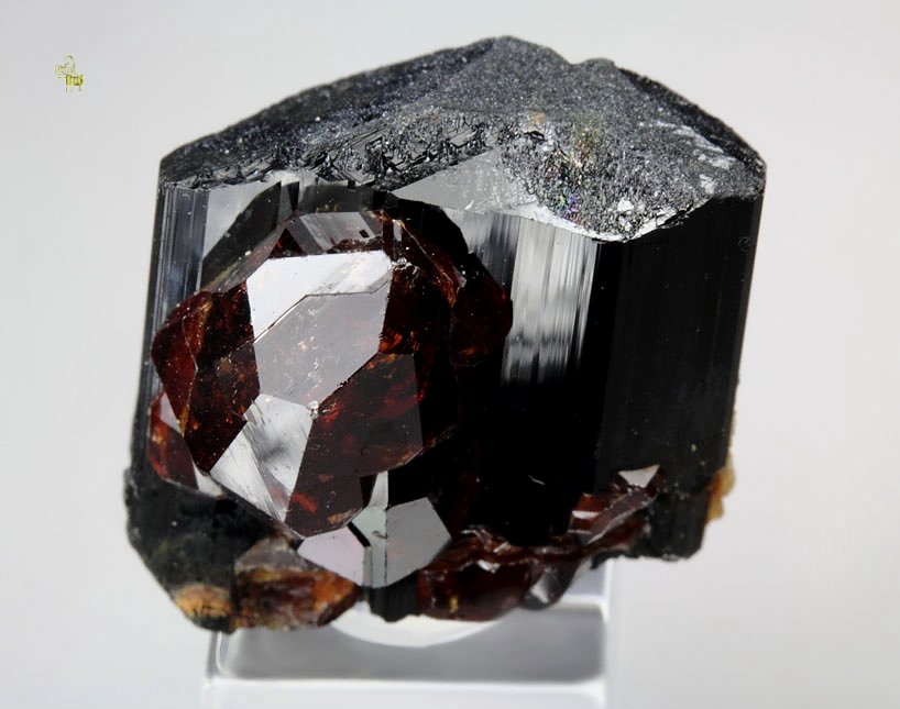 gem GARNET var. SPESSARTINE, TOURMALINE var. SCHORL