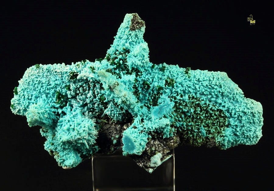 new find - AJOITE pseudomorph after AZURITE, after MALACHITE