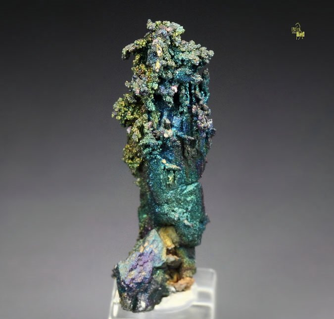 CHALCOCITE, DJURLEITE, iridescent CHALCOPYRITE