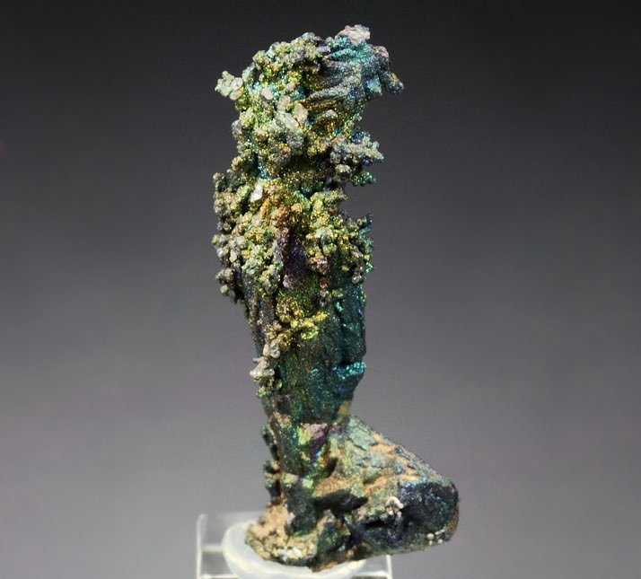 CHALCOCITE, DJURLEITE, iridescent CHALCOPYRITE