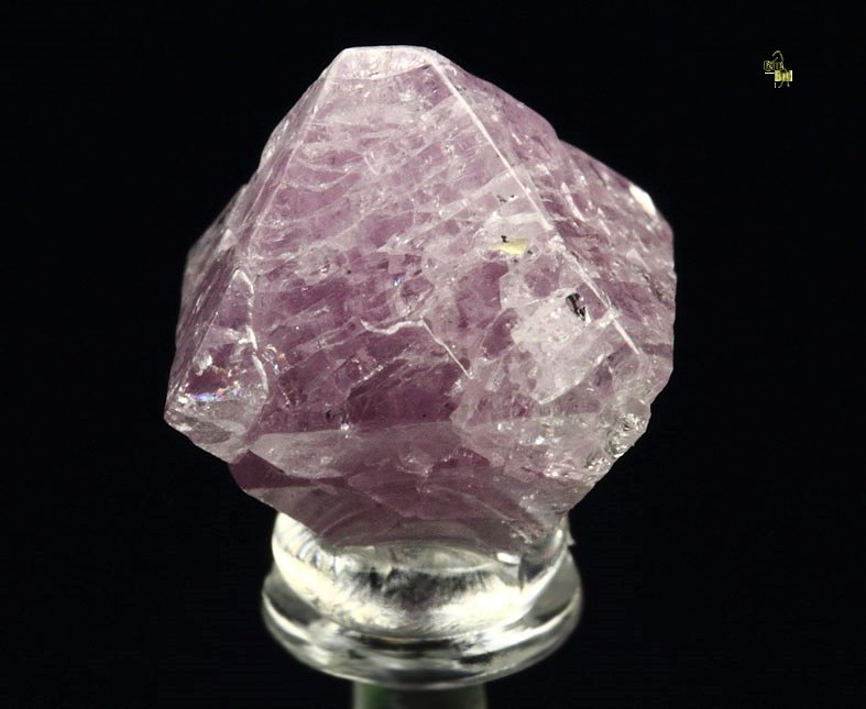 gemmy SPINEL