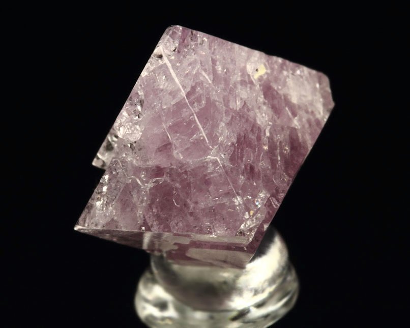 gemmy SPINEL