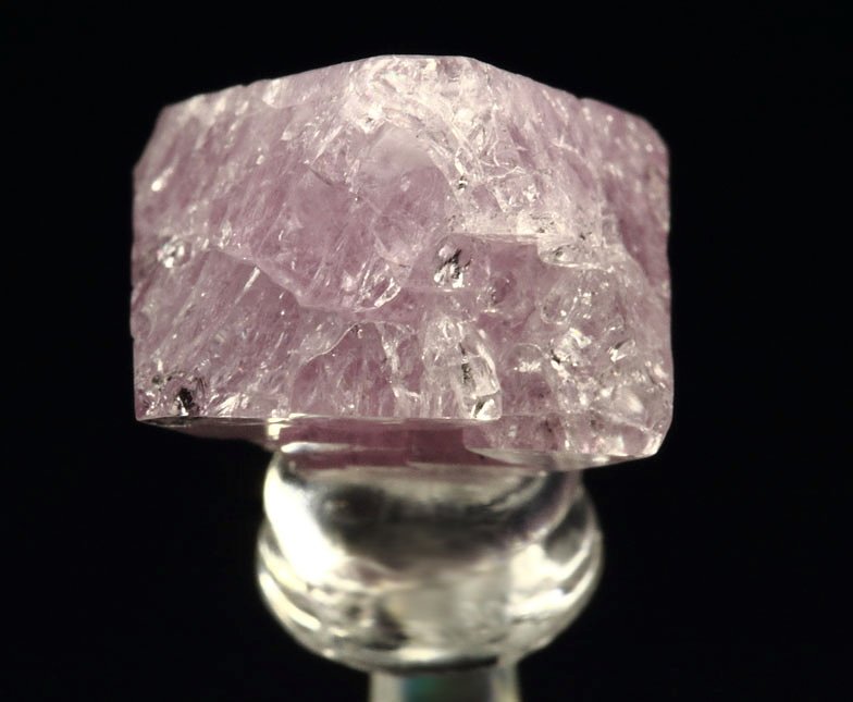 gemmy SPINEL