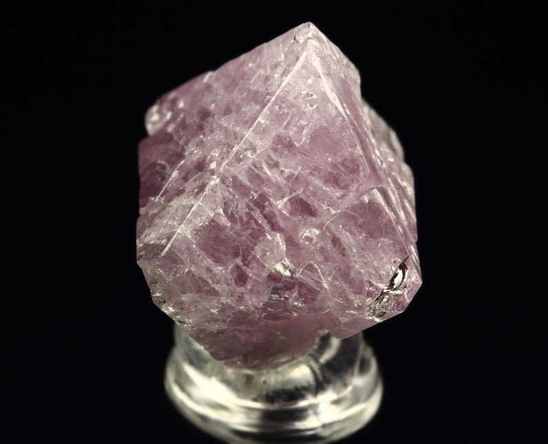 gemmy SPINEL