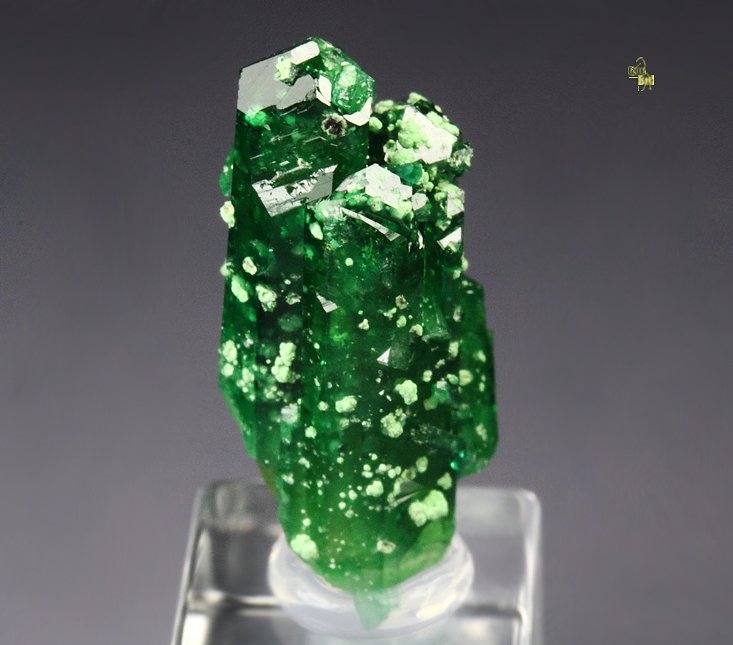 gem VESUVIANITE var. CHROMIAN, DIOPSIDE