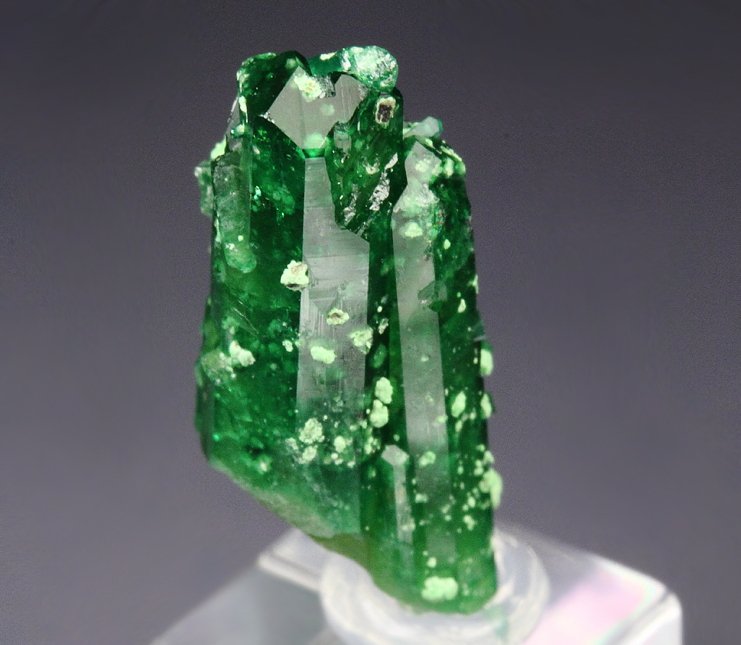 gem VESUVIANITE var. CHROMIAN, DIOPSIDE