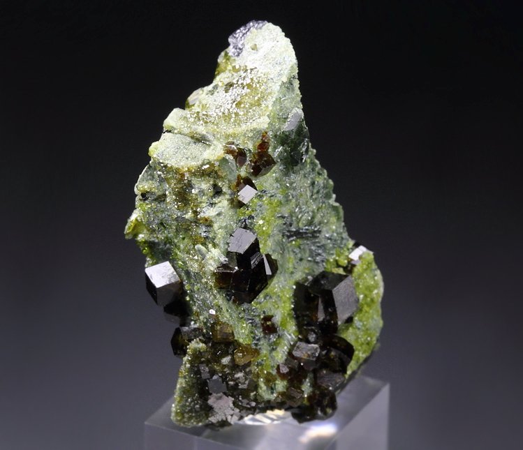 GARNET var. ANDRADITE, DIOPSIDE, EPIDOTE