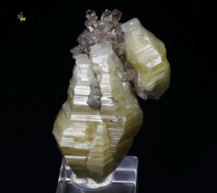 WELOGANITE, QUARTZ var. SMOKY