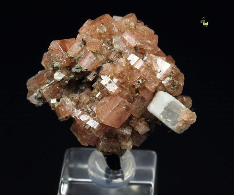 gemmy SERANDITE, CATAPLEIITE pseudomorph after SODALITE, AEGIRINE, ALBITE