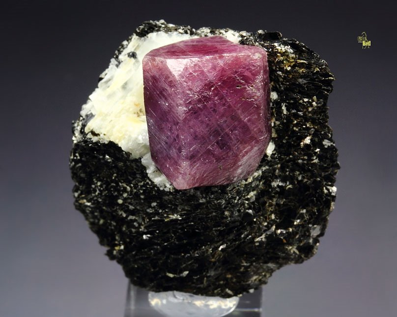 CORUNDUM var. RUBY, MUSCOVITE