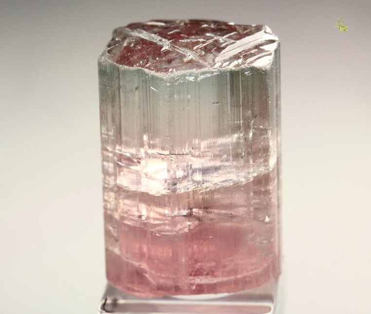 gem TOURMALINE var. ELBAITE bi-color