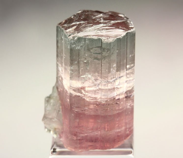 gem TOURMALINE var. ELBAITE bi-color