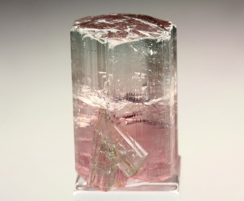 gem TOURMALINE var. ELBAITE bi-color