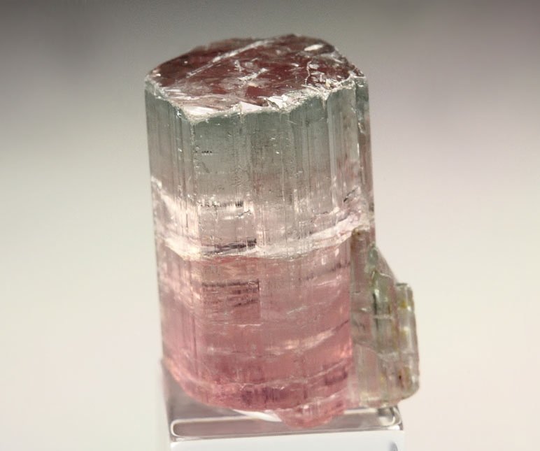 gem TOURMALINE var. ELBAITE bi-color