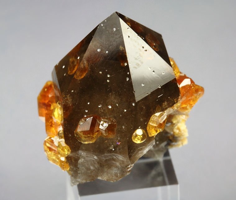 gem GARNET var. SPESSARTINE, QUARTZ var. SMOKY with inclusions