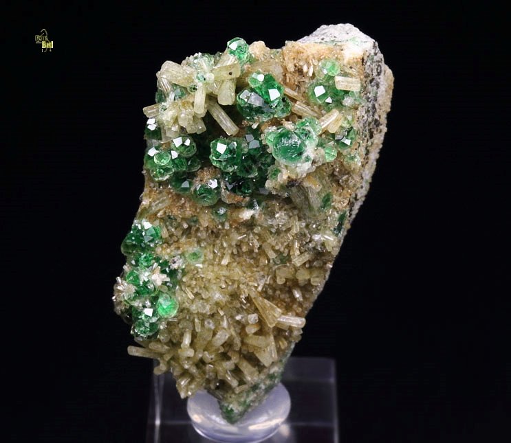 gem GARNET var. GROSSULAR var. CHROMIAN, CHROMITE, DIOPSIDE