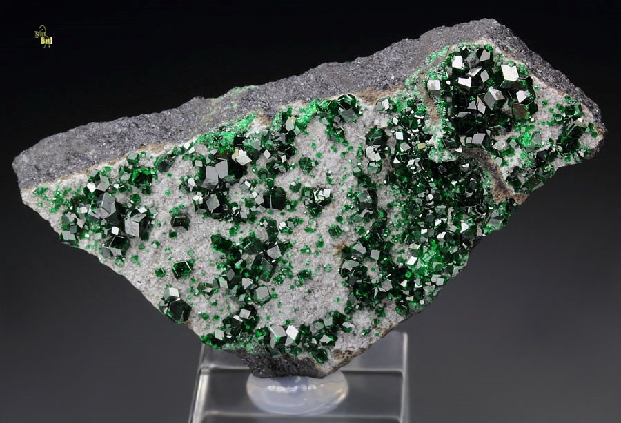 gemmy GARNET var. UVAROVITE