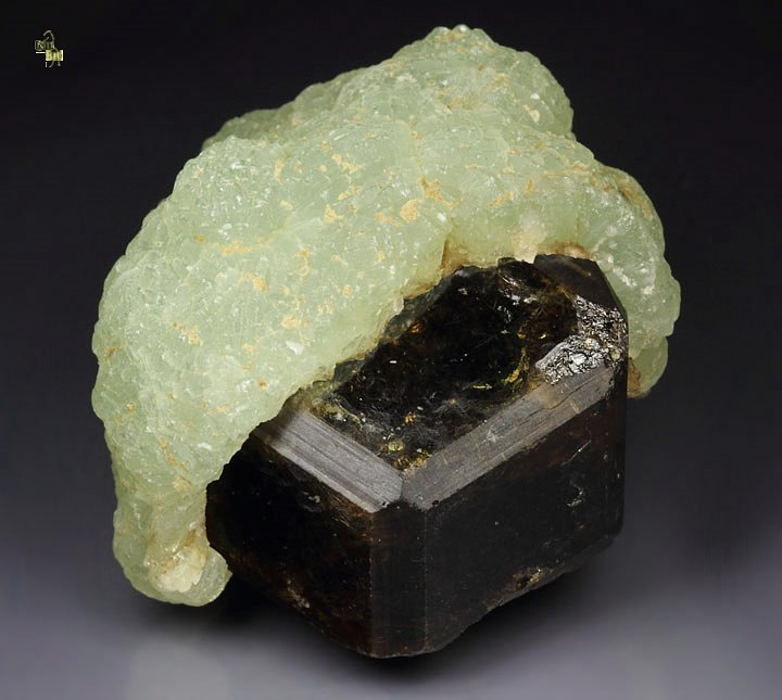 GARNET var. ANDRADITE, PREHNITE