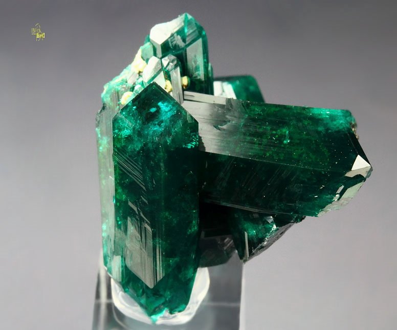 gemmy DIOPTASE bi-terminated 