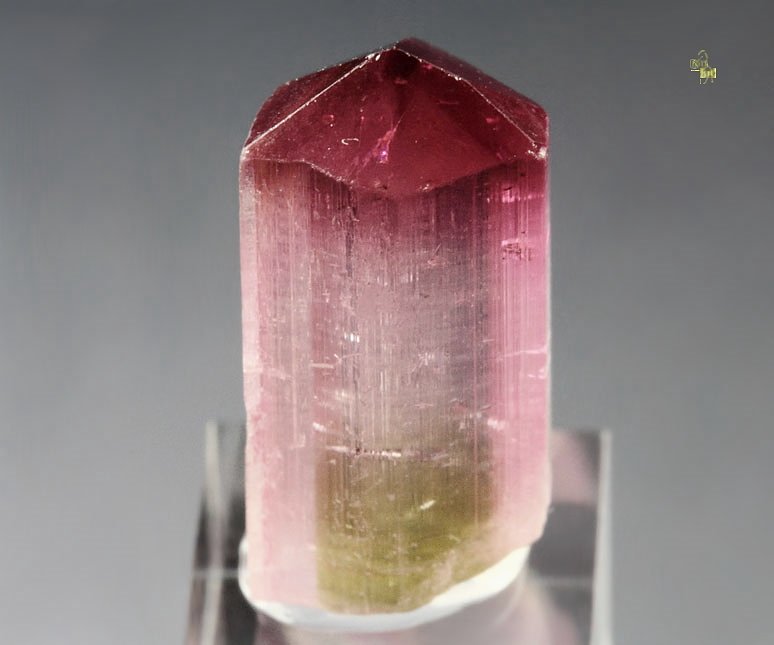 gem TOURMALINE var. RUBELLITE