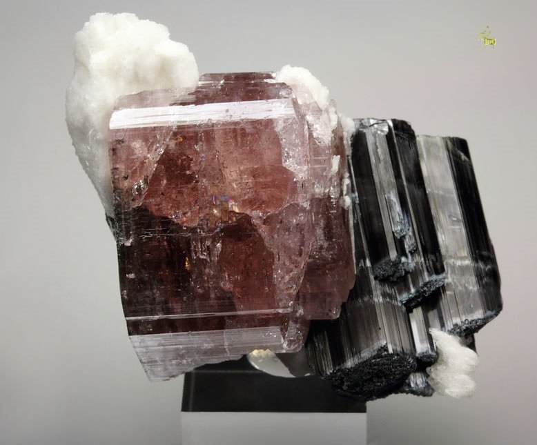 gem FLUORAPATITE, TOURMALINE var. SCHORL, ALBITE