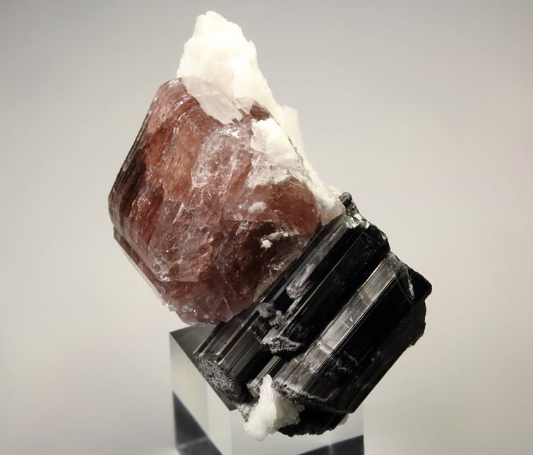 gem FLUORAPATITE, TOURMALINE var. SCHORL, ALBITE