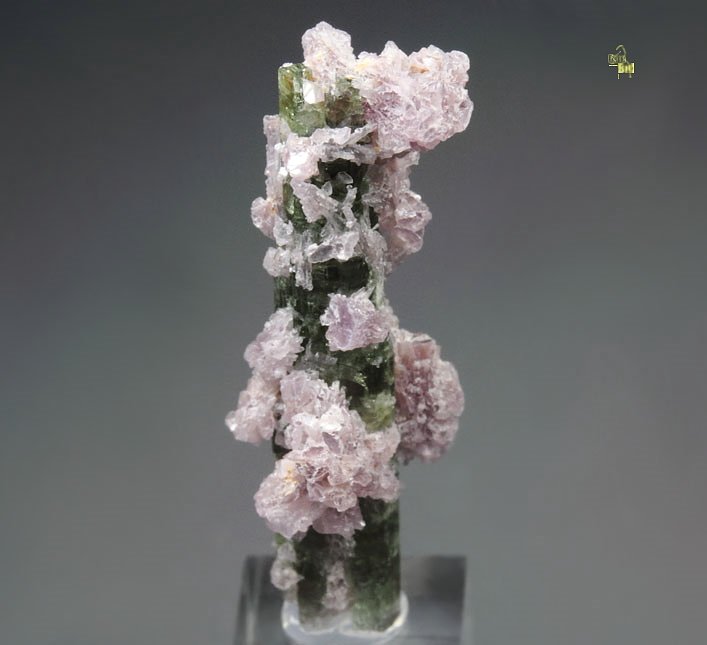 TOURMALINE var. ELBAITE, LEPIDOLITE