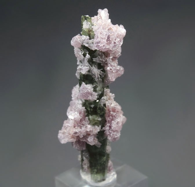 TOURMALINE var. ELBAITE, LEPIDOLITE