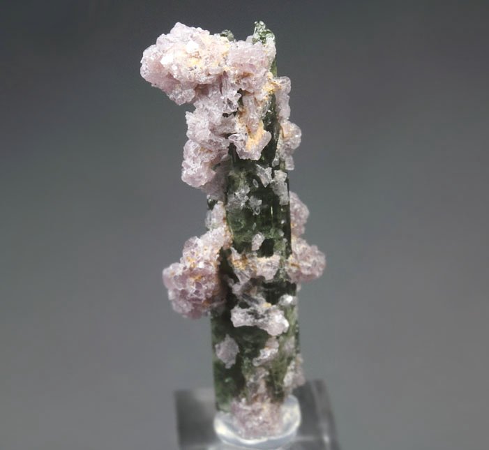 TOURMALINE var. ELBAITE, LEPIDOLITE