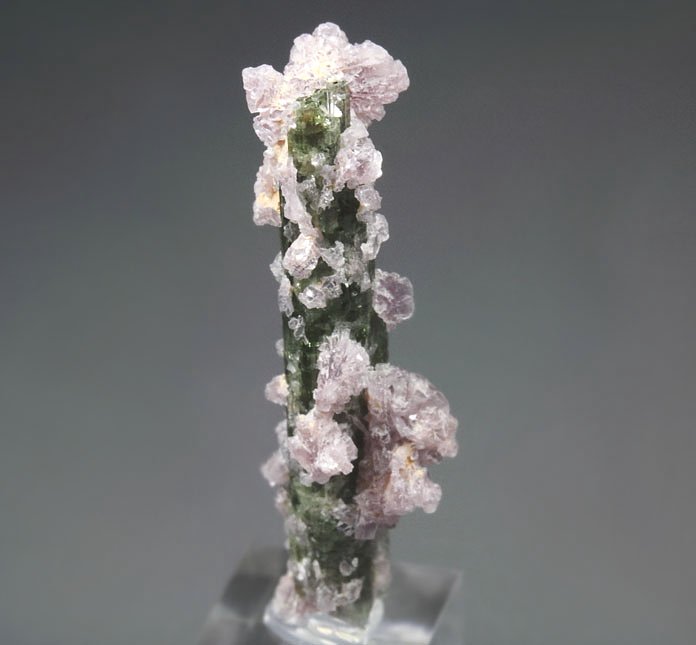 TOURMALINE var. ELBAITE, LEPIDOLITE