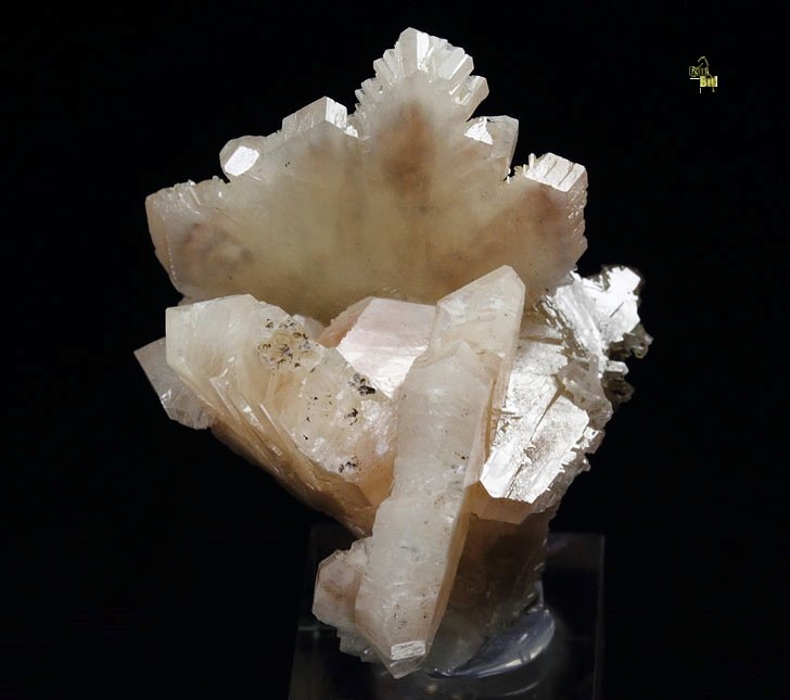 twinned CERUSSITE