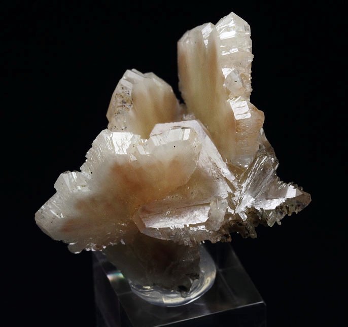 twinned CERUSSITE