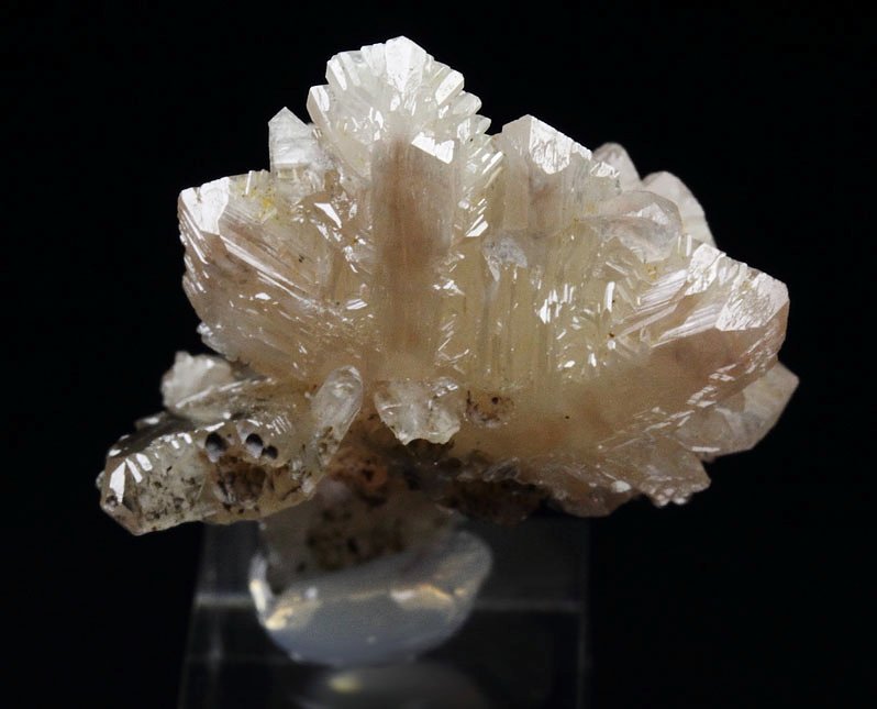 twinned CERUSSITE