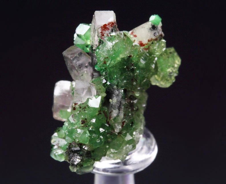 gem GARNET var. GROSSULAR var. CHROMIAN, PREHNITE