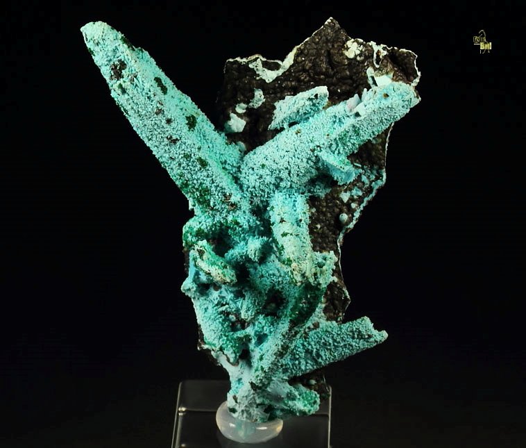 new find - AJOITE pseudomorph after AZURITE, after MALACHITE