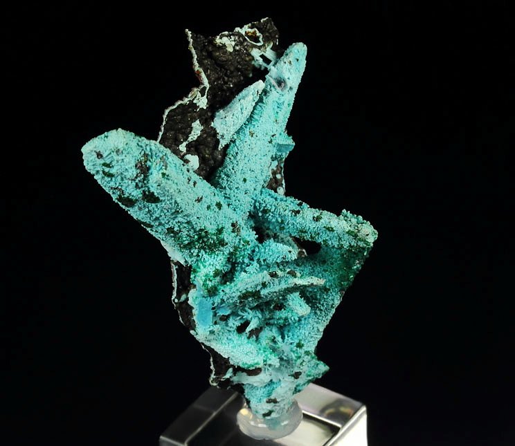 new find - AJOITE pseudomorph after AZURITE, after MALACHITE