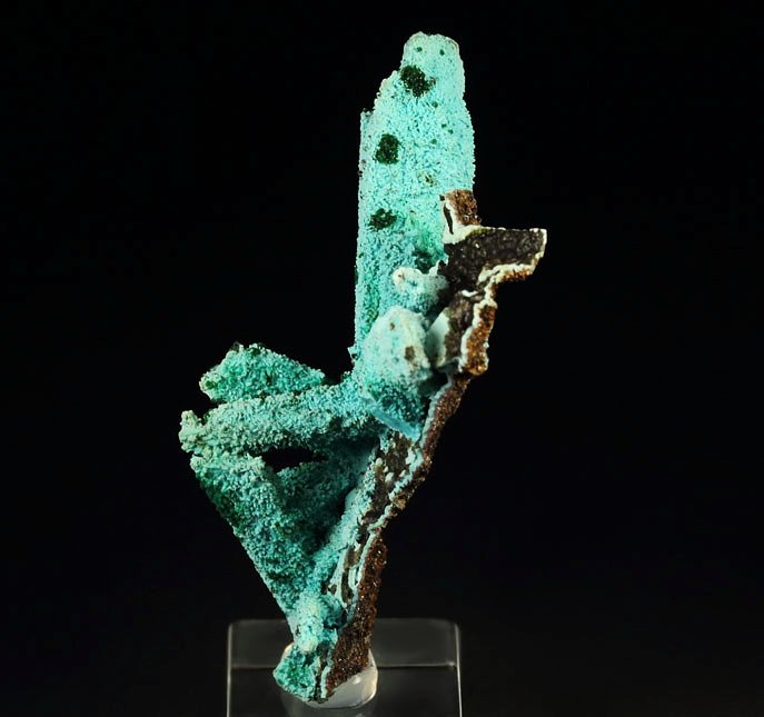 new find - AJOITE pseudomorph after AZURITE, after MALACHITE