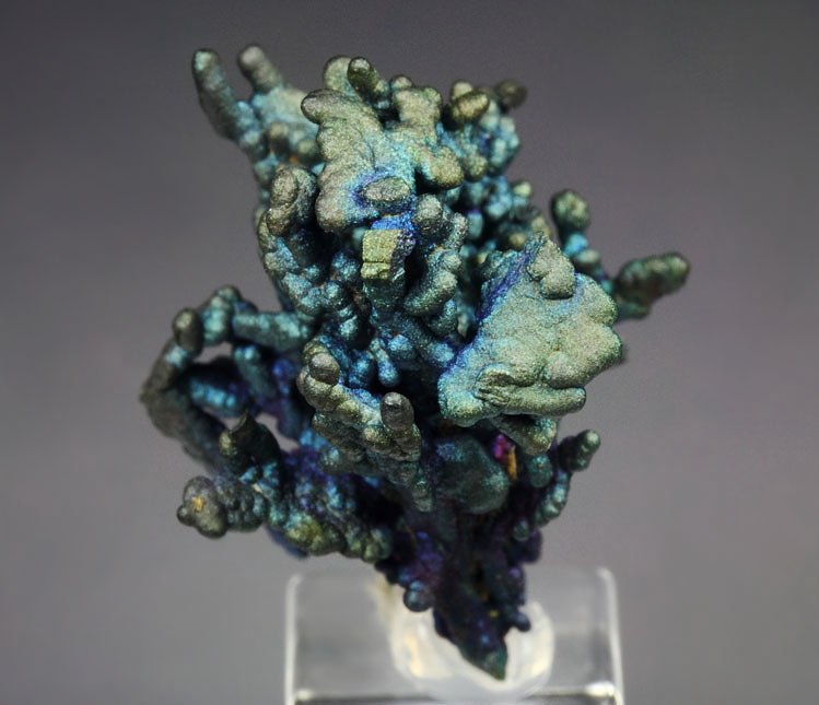 CHALCOCITE, DJURLEITE, iridescent CHALCOPYRITE