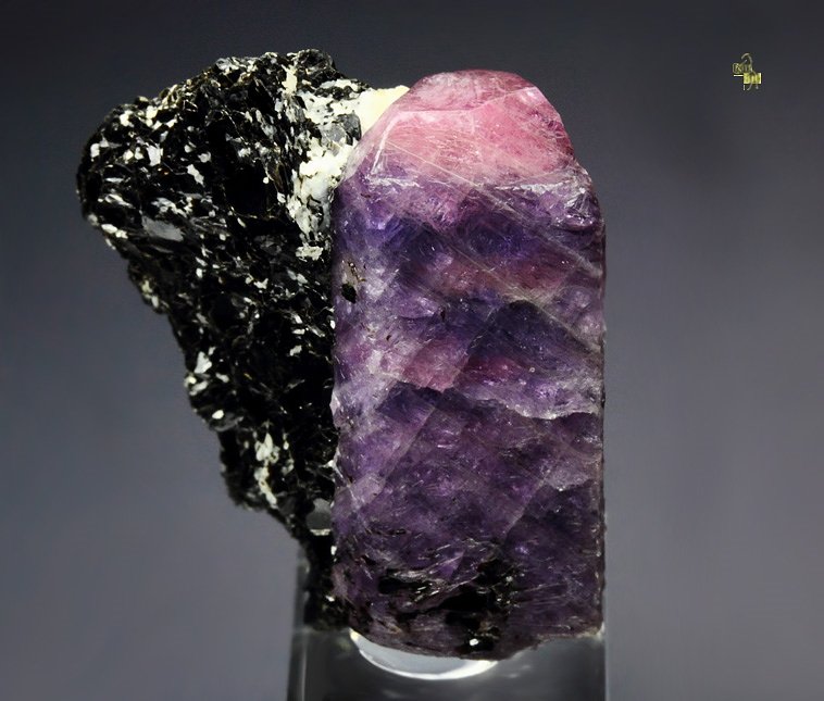 CORUNDUM var. RUBY, MUSCOVITE