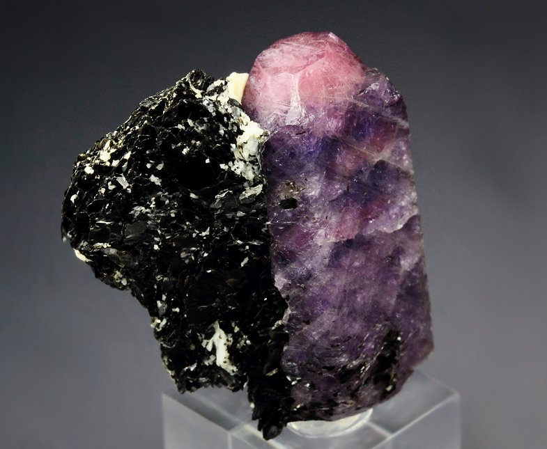 CORUNDUM var. RUBY, MUSCOVITE