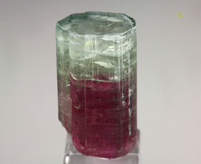 gem TOURMALINE var. ELBAITE bi-color